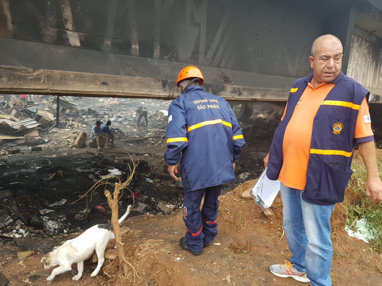 Dois agentes da defesa civil no local incendiado, na lateral esquerda da imagem aparece um cachorro branco de porte pequeno próximo a um toco de árvore seco. Ao fundo da imagem aparecem outras três pessoas, duas sentadas e uma inclinada em busca de algo no chão